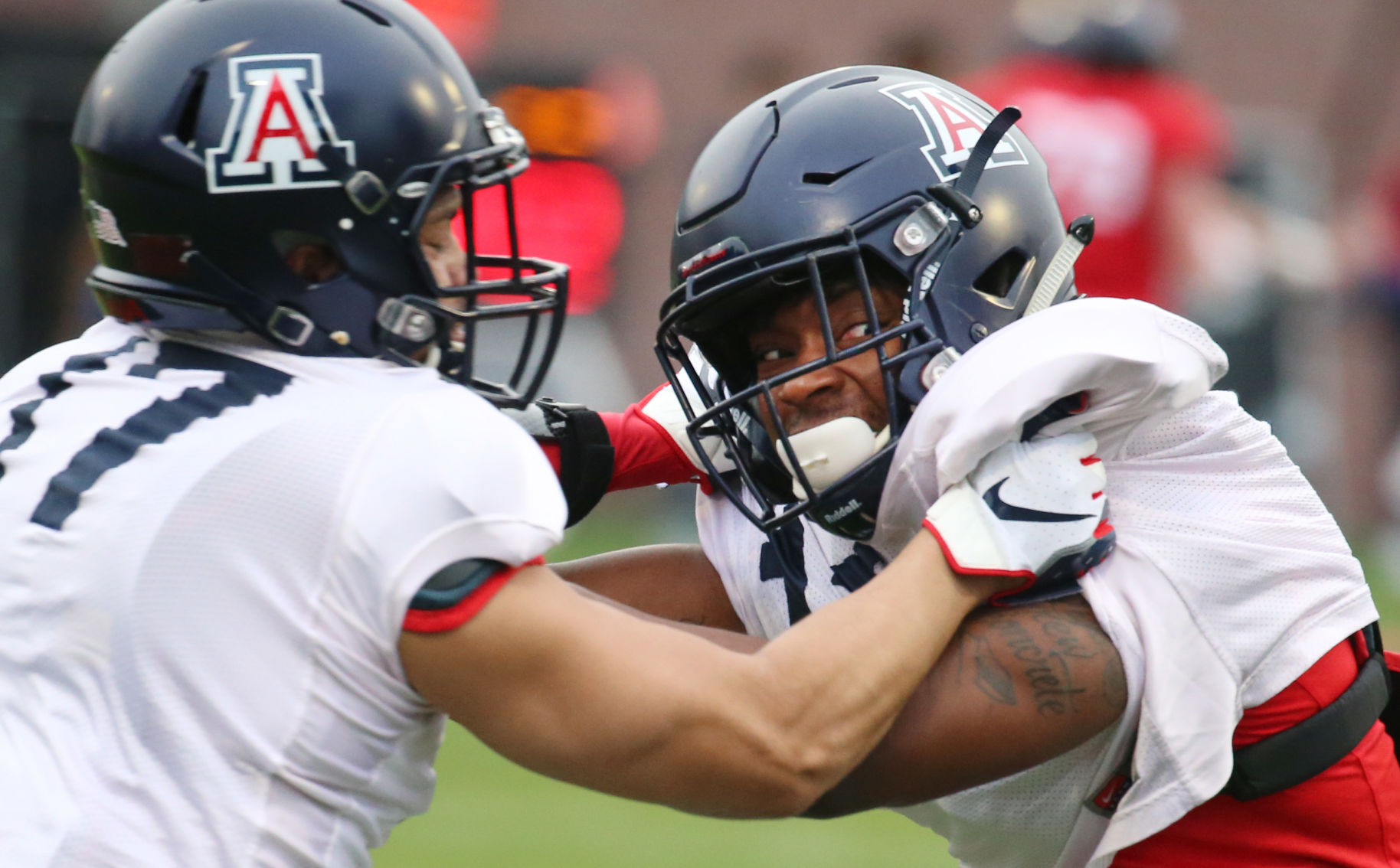Arizona Wildcats spring football practice